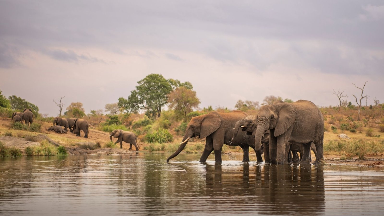 Kruger Park