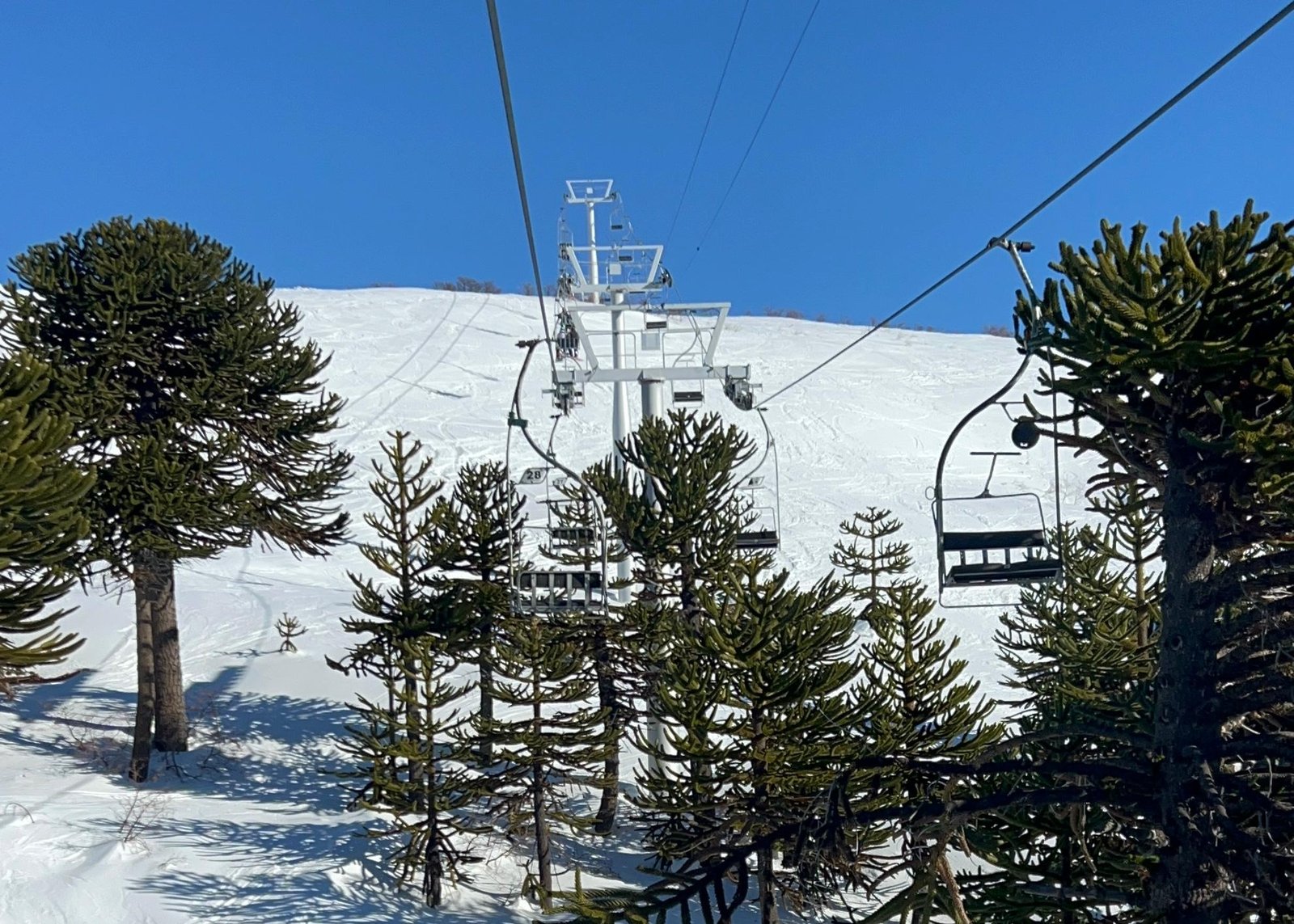 Neve, Bike e Viagens de Aventura